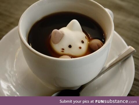 Coffee Art #35 - Marshmallow Cat