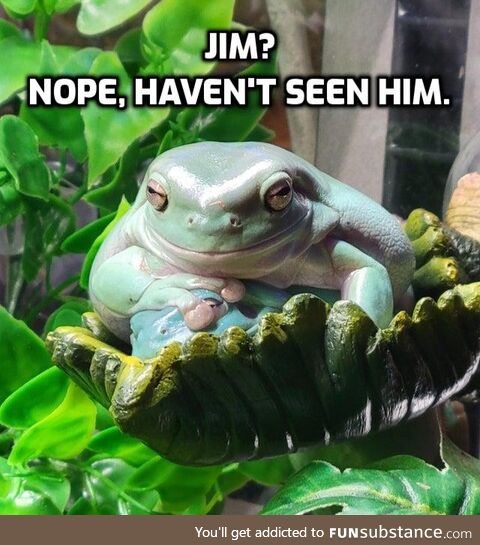 Froggo Fun R #104 - Have You Seen Jim?