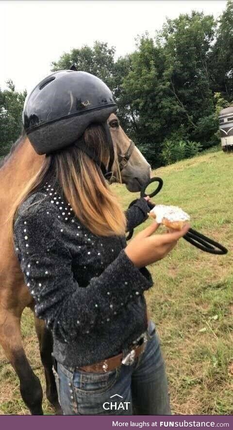 When the rider and horse become one