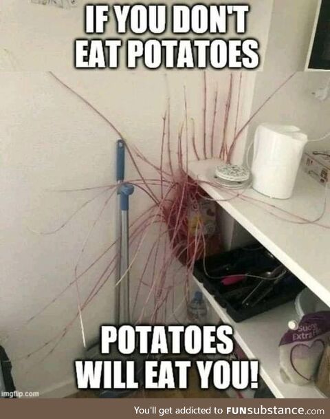 Potatoes!