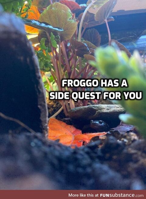 Froggo Fun R #122 - Welcome to Their Lair, Adventurer