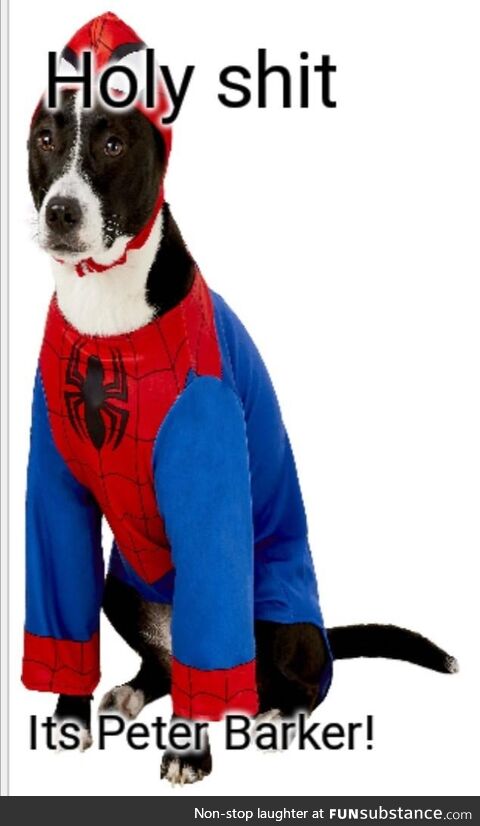 Spider-Dog Spider-Dog