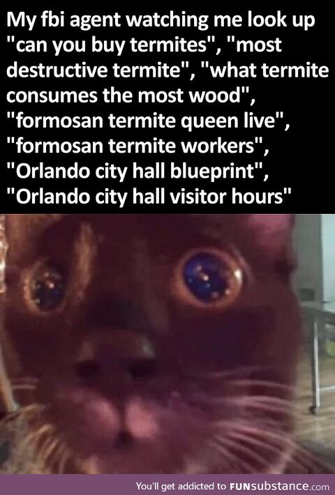 orlando