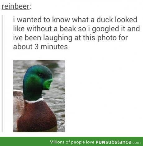 Beakless duck