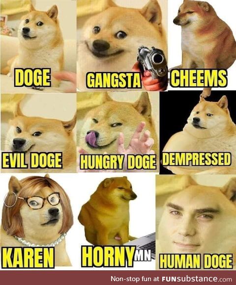 Which doge are you today
