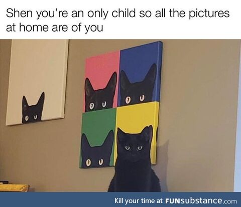 Cats Count as Kids, Right?