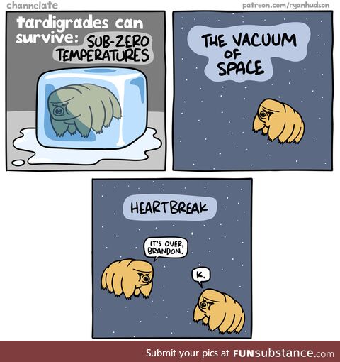 Even tardigrades find mates. What's your excuse?
