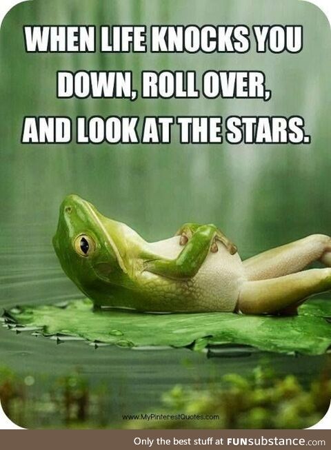 Inspirational frog