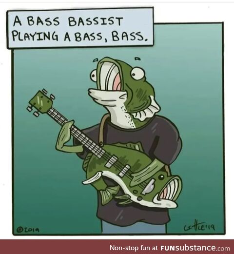 I'm not a bassist but ..