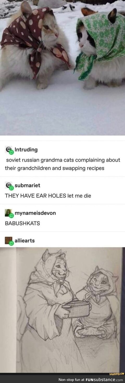 babushcats