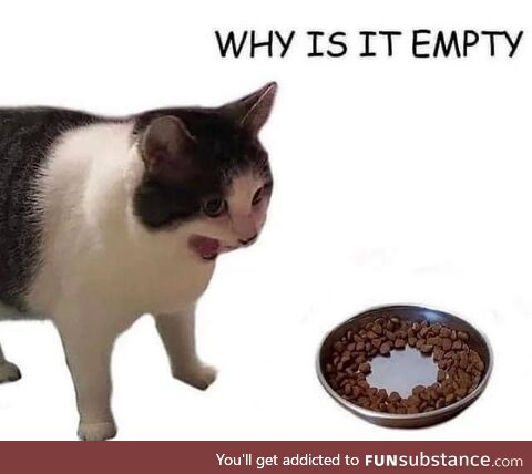 Why is it empty?