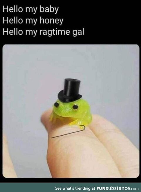 Classy frog