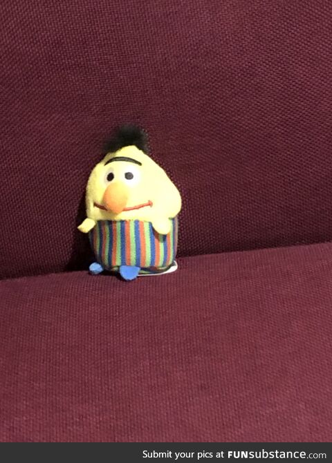 My new Bert doll <3