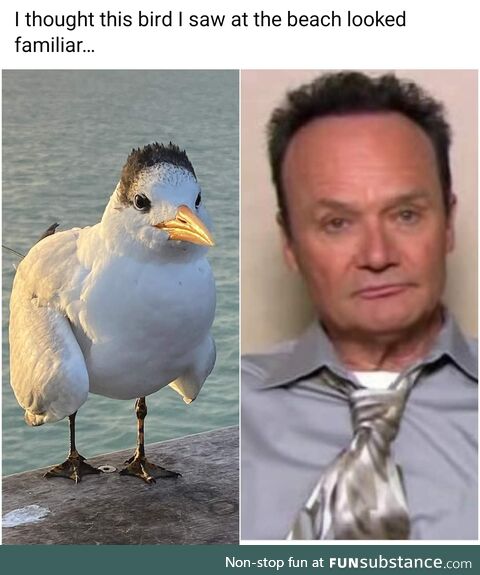 Creed Goose