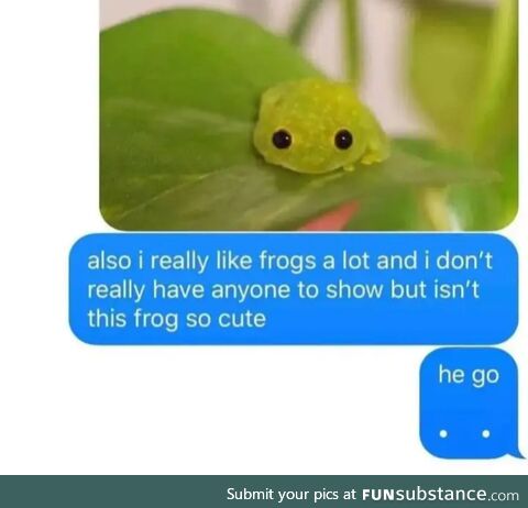 Happy Frog, dis you?