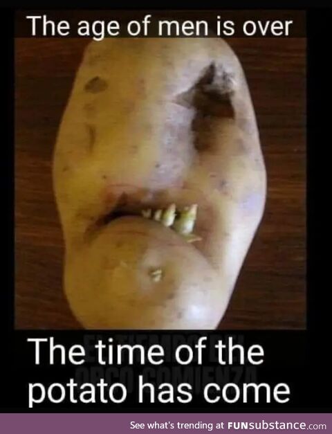 Potatoes!