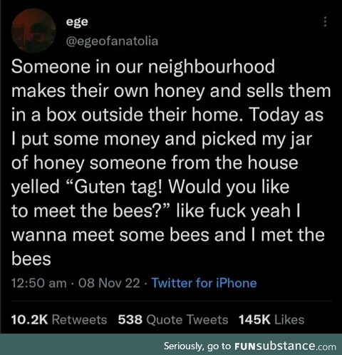Bees!