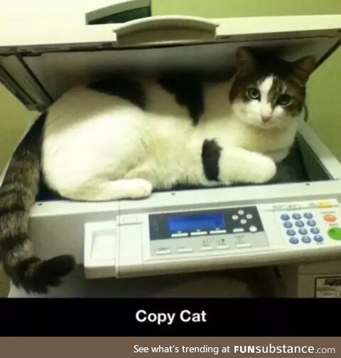 Cat scan