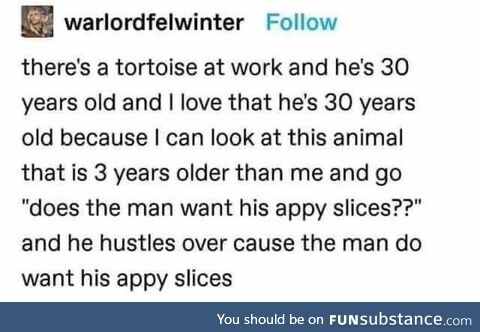I also kinda want my appy slices