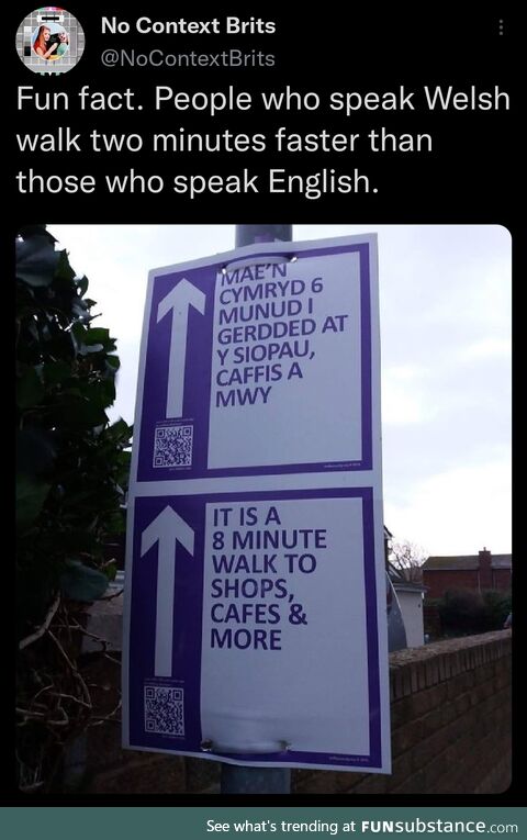 Bilingual bipedals