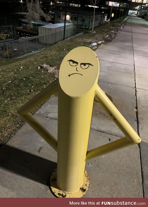Quite the grumpy pole at Utah Valley University . .