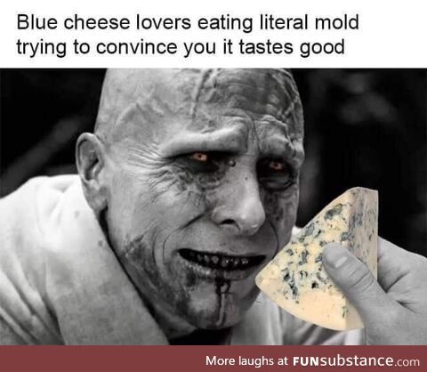 Apologies to mold lovers everywhere
