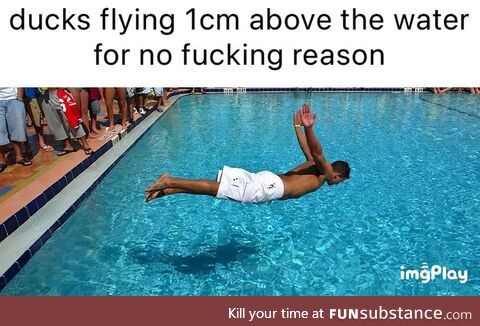 Sorry I thought this was DuckMemes