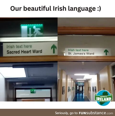 Irish text here