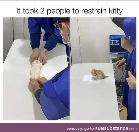 Poor kitty has to undergo treatment