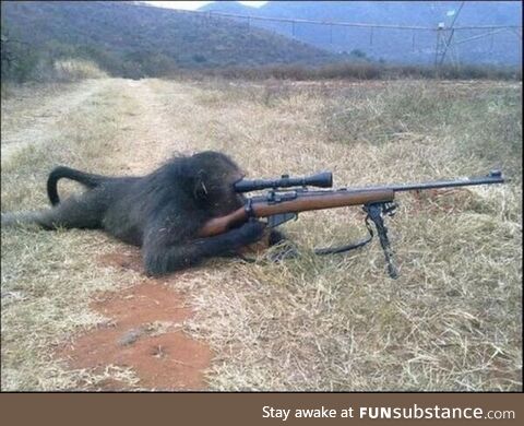 Chee Chee the Monkey, Cold War sniper. Died in battle. Was also very dangerous in hand to