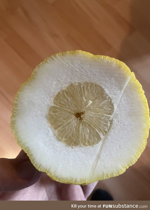 When life gives you lemons...