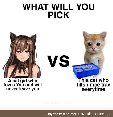 I wish I could train my cat to refill my ice trays