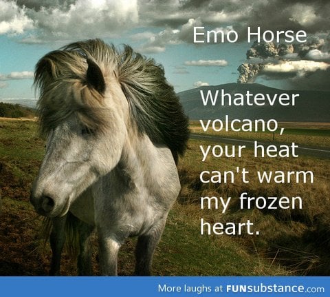 Emo horse