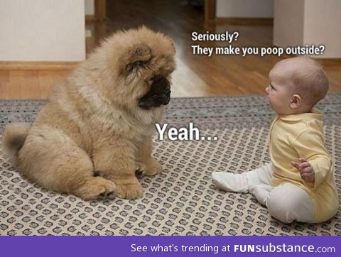 Baby VS Dog