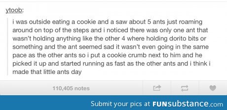 Made that ants day