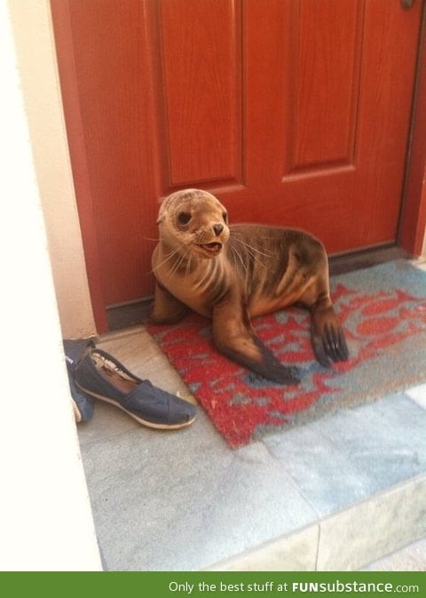 Excuse me, do you have a moment to talk about our lord, poseidon?