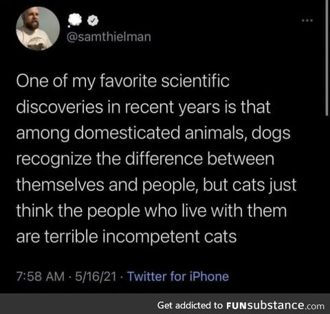 But we are terrible incompetent cats