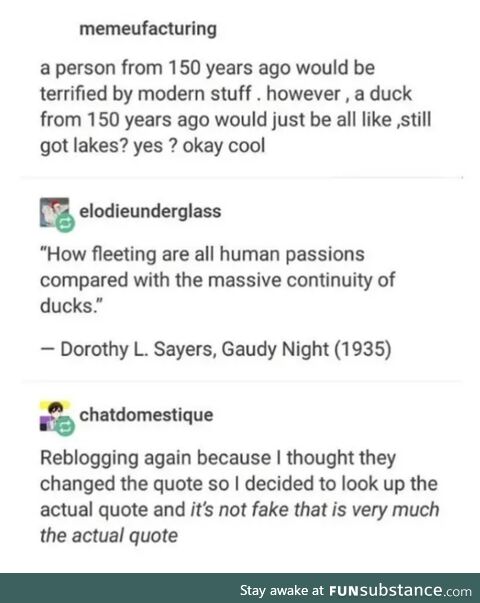 Ducks, what ever are they?