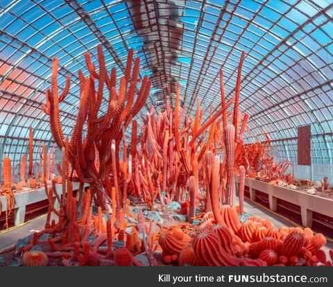 I went the Greenhouse with my Infrared Camera