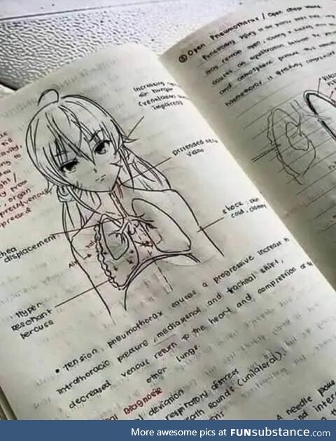 When you are a Med student but also an anime fan