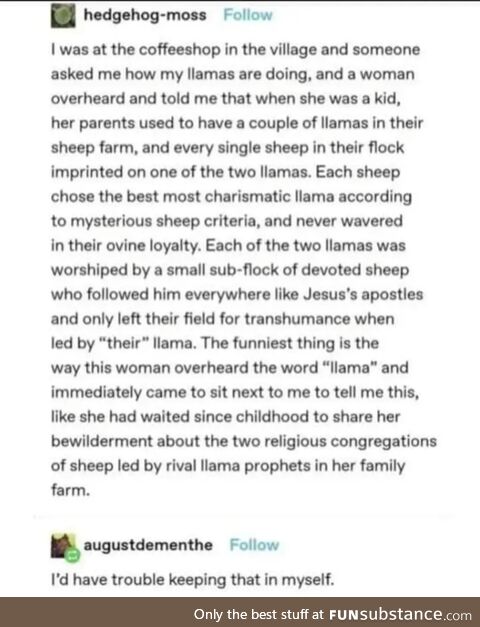 Llama is the one true religion