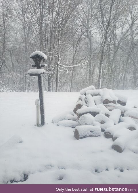 Spring in Minnesota. It was 80 3 days ago