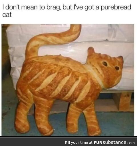 Cat-loaf