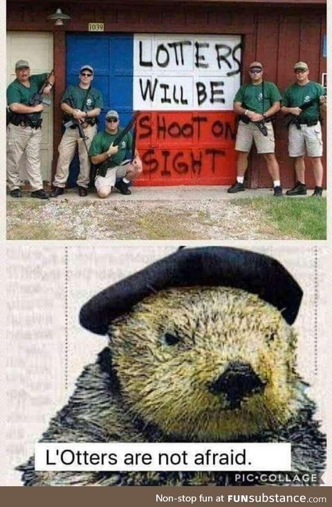 Le French otter, no mess with!