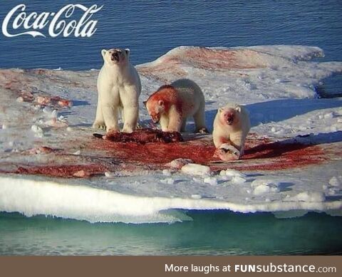 Family Of Polar Bears guzzles some cherry coke for the Holidays - colorized 1967