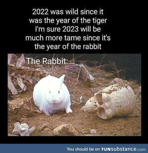 The year of the rabbit... Oh no!