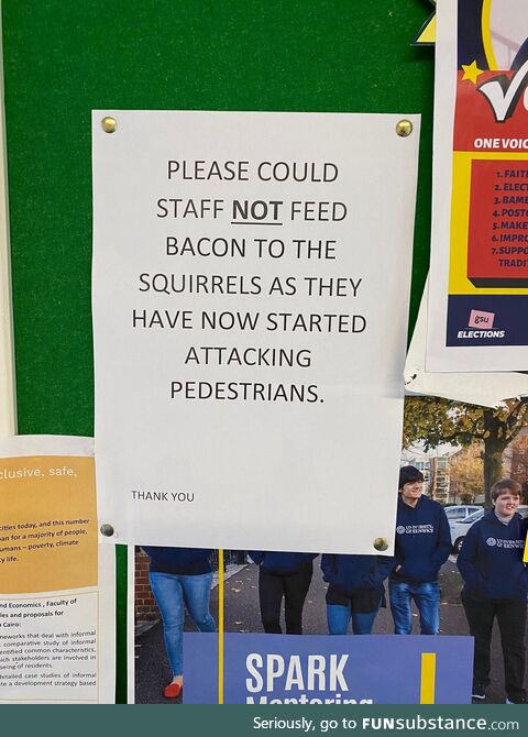 The squirrel uprising has begun! 