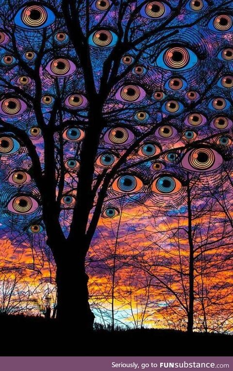 Sunset Eyes by LARRY CARLSON