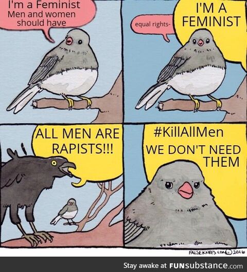 Misandrists ruined the word "Feminism"