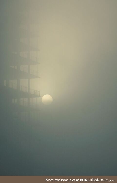 The Sun looking almost Lunar in the fog yesterday